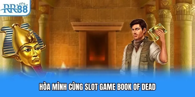 Hòa mình cùng slot game Book Of Dead Hòa mình cùng slot game Book Of Dead
