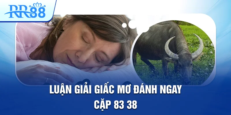 Luận giải giấc mơ đánh ngay cặp: 83, 38. Luận giải giấc mơ đánh ngay cặp: 83, 38.