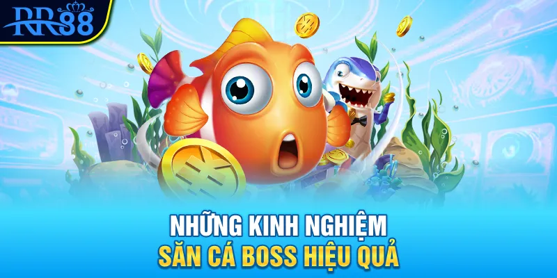 Những kinh nghiệm săn cá boss hiệu quả Những kinh nghiệm săn cá boss hiệu quả